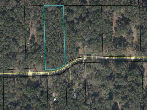 TBD NE 173rd Ave, Old Town, FL 32628