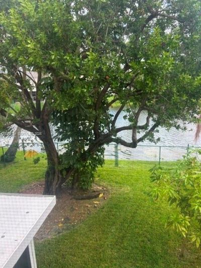 387 NW 107th Ave, Pembroke Pines, FL 33026 Photo