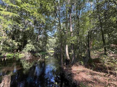 TBD Mount Calvary Rd. , Dillon, SC 29536