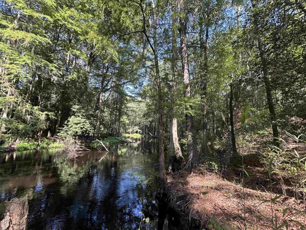 TBD Mount Calvary Rd. , Dillon, SC 29536
