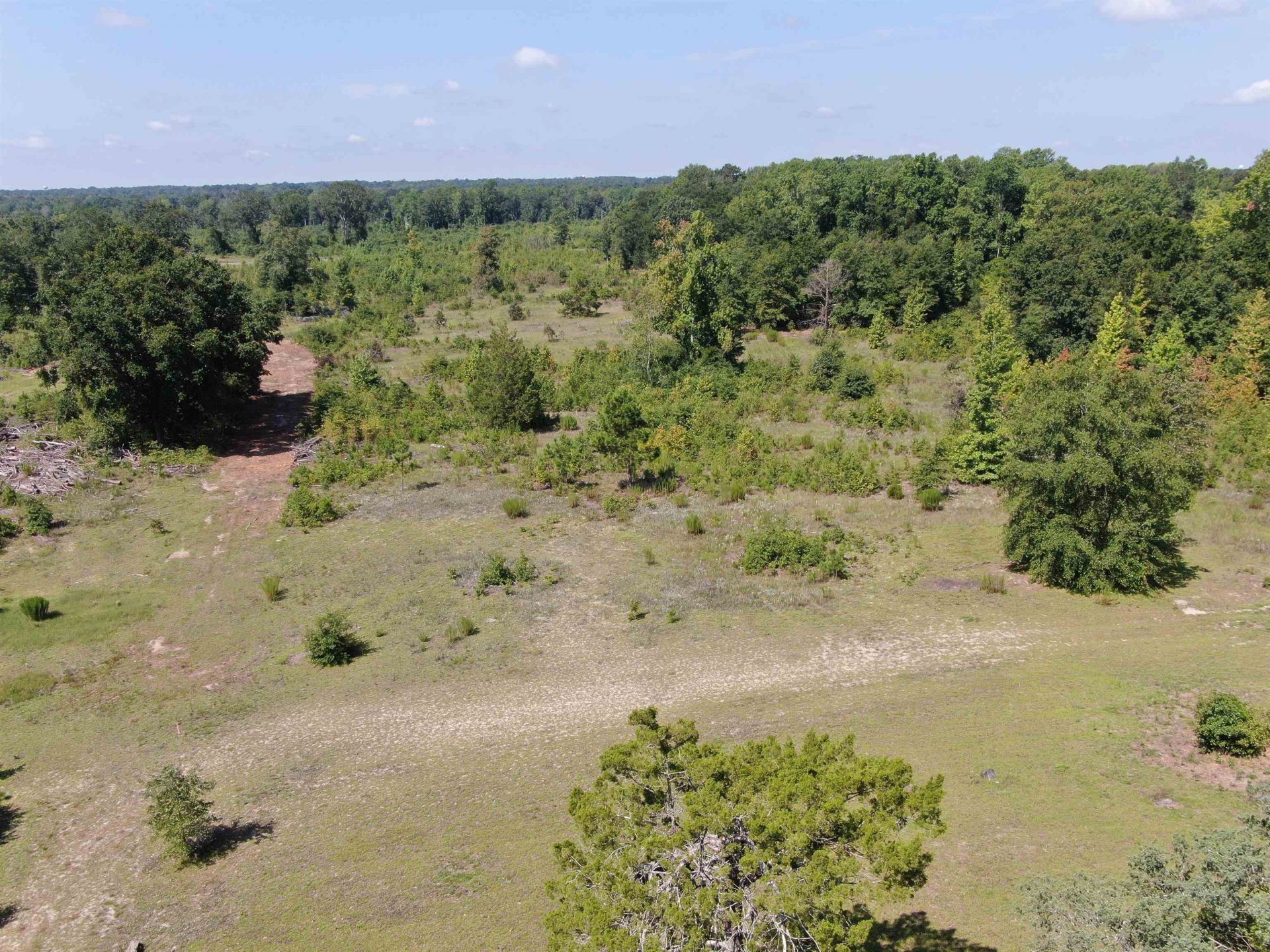 Tbd Mount Calvary Rd.  Photo 11