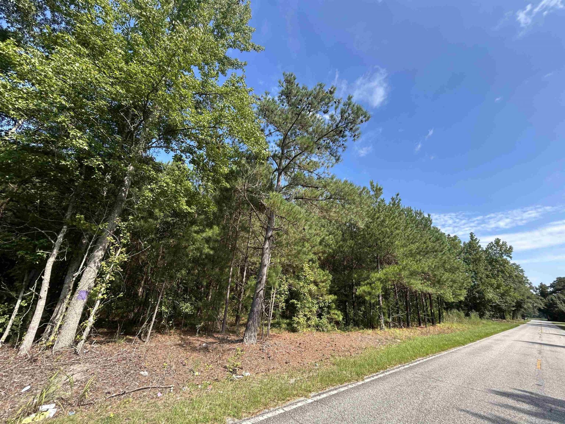 Tbd Mount Calvary Rd.  Photo 14