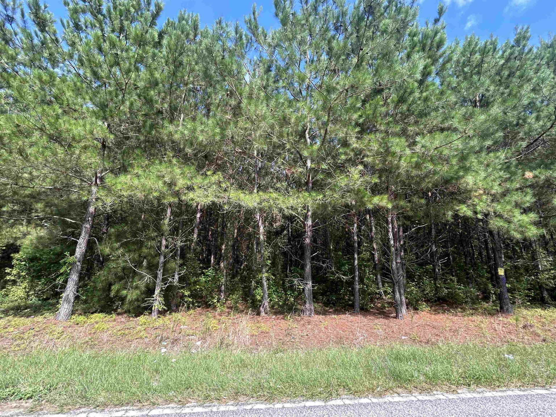 Tbd Mount Calvary Rd.  Photo 15