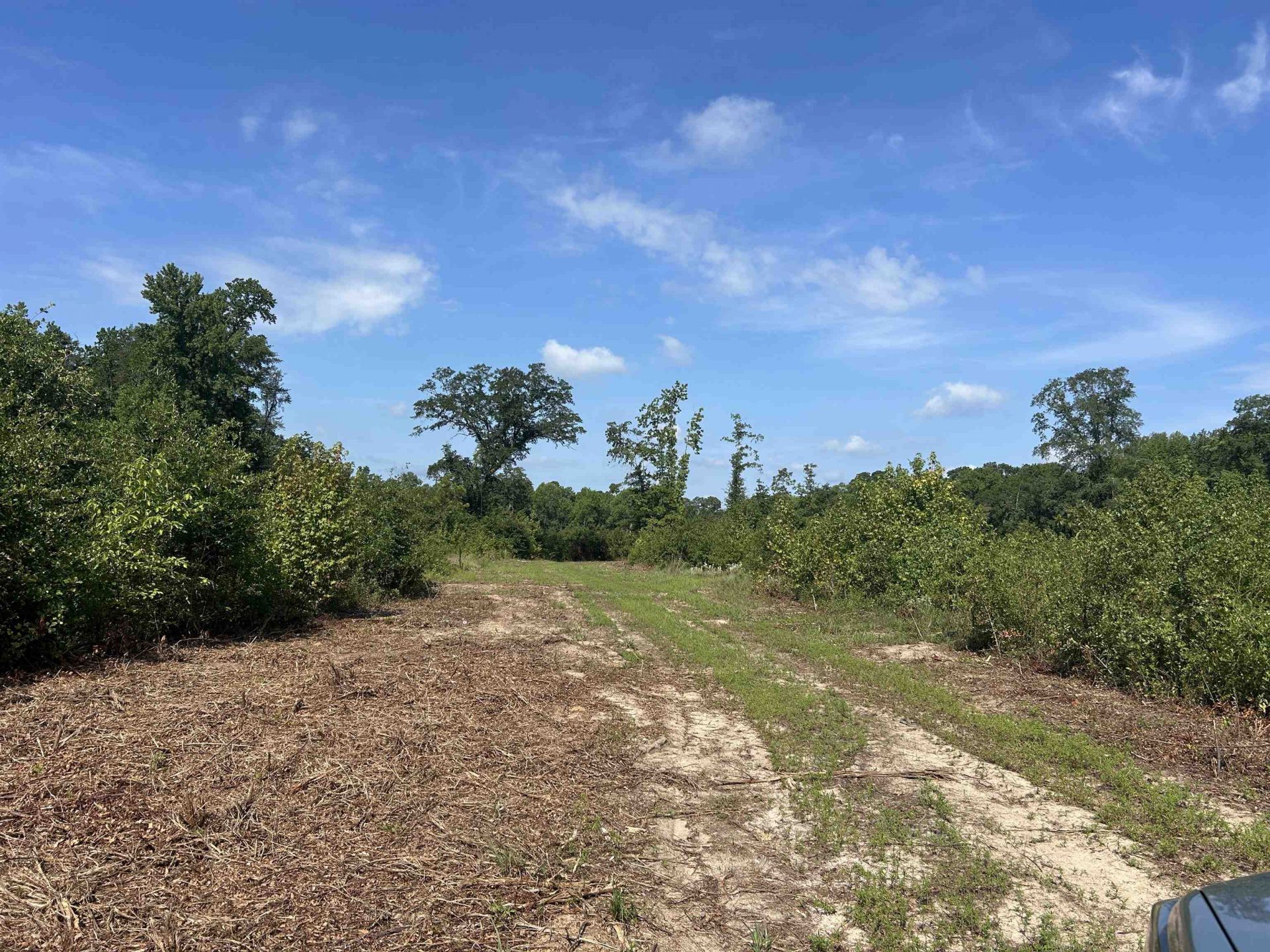 Tbd Mount Calvary Rd.  Photo 16