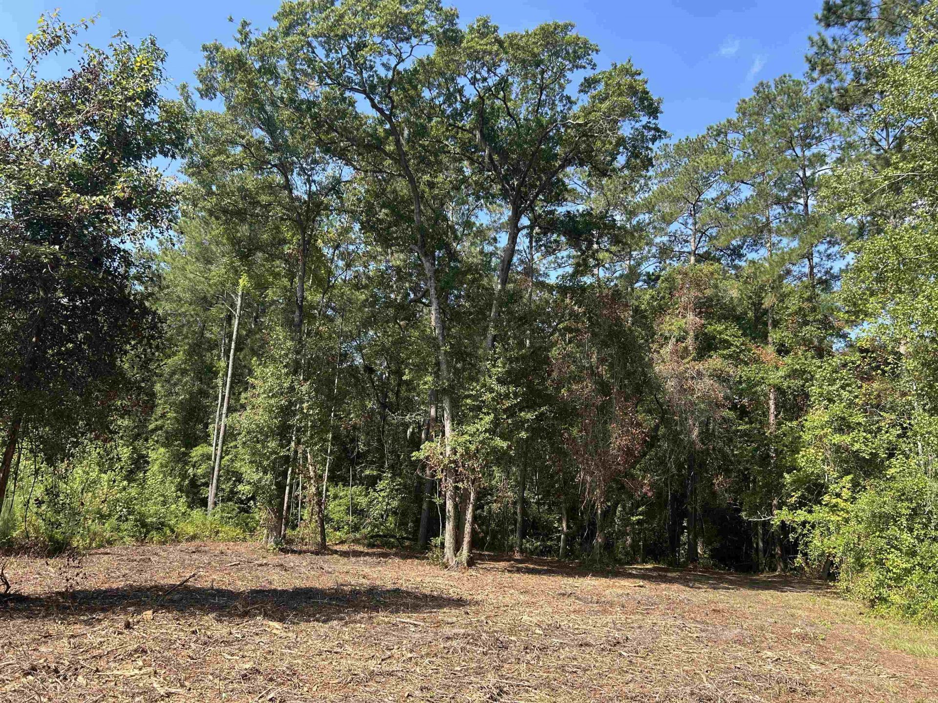 Tbd Mount Calvary Rd.  Photo 17