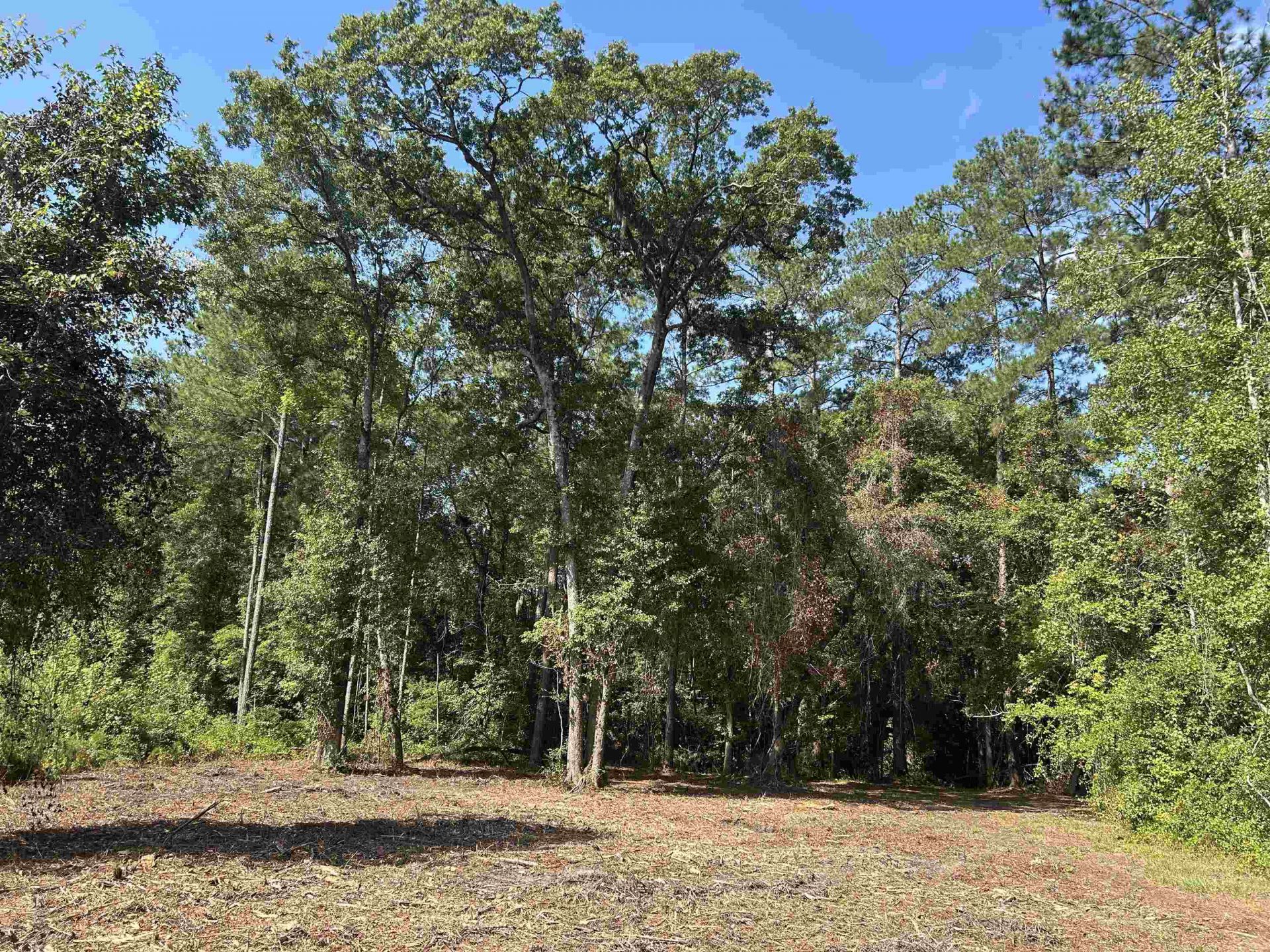 Tbd Mount Calvary Rd.  Photo 18