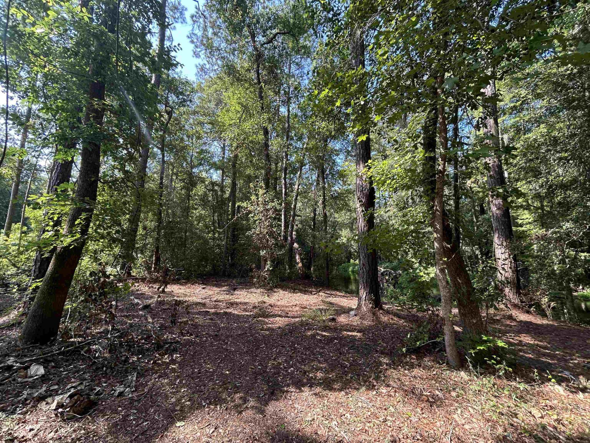 Tbd Mount Calvary Rd.  Photo 19