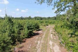 Tbd Mount Calvary Rd.  photo 4