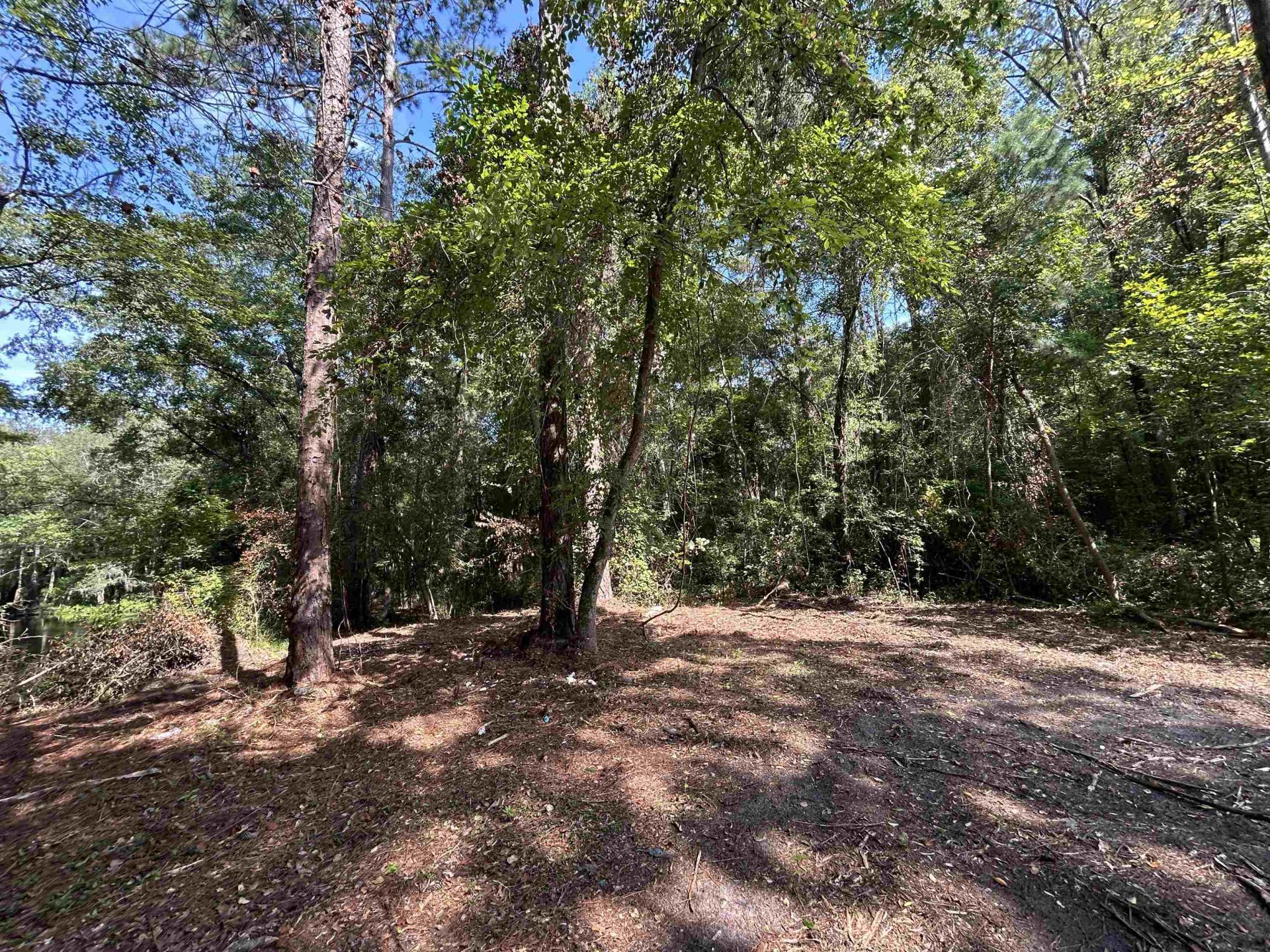 Tbd Mount Calvary Rd.  Photo 20