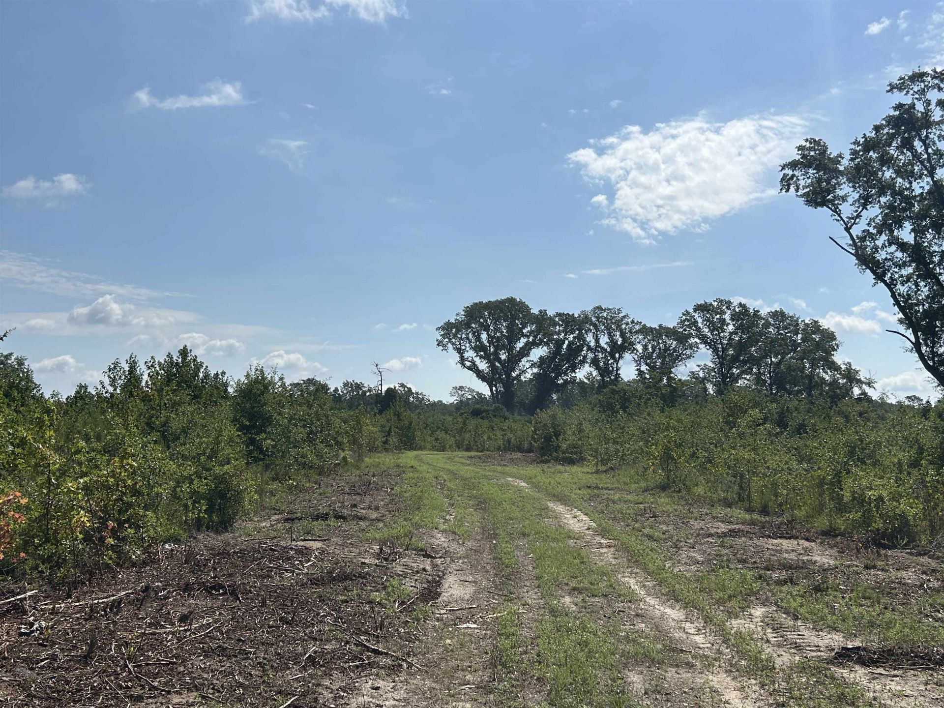 Tbd Mount Calvary Rd.  Photo 24