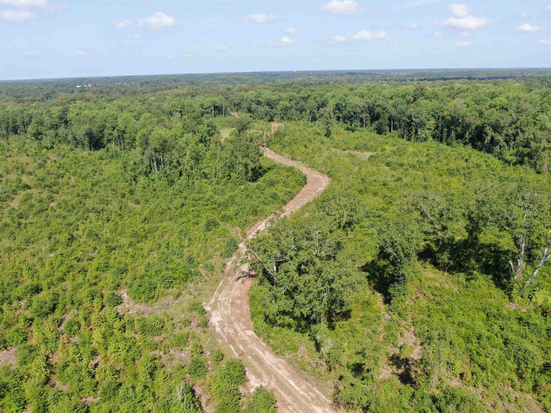 Tbd Mount Calvary Rd.  Photo 6