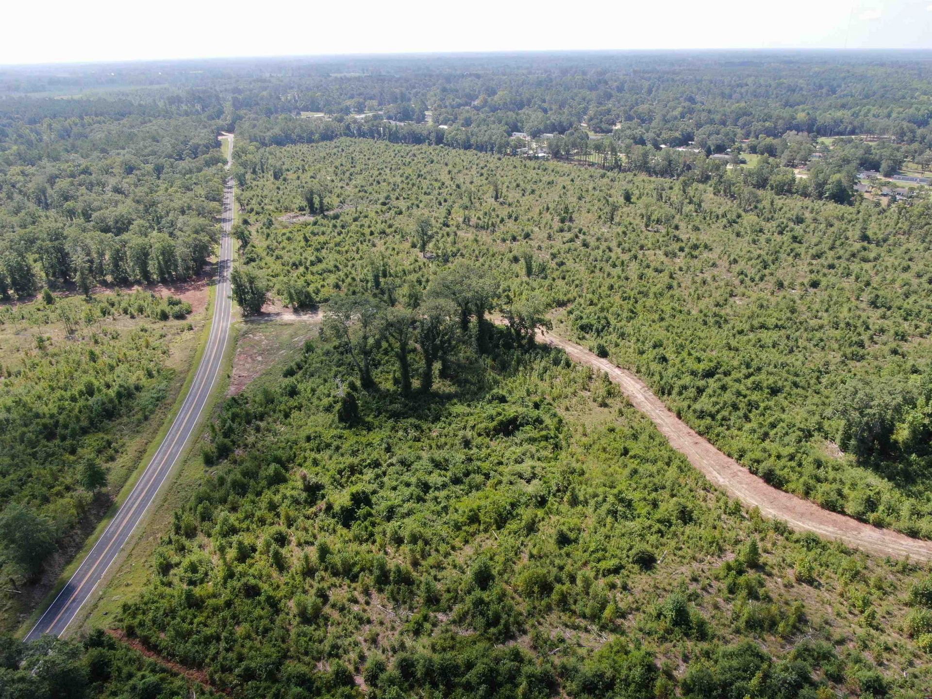 Tbd Mount Calvary Rd.  Photo 7