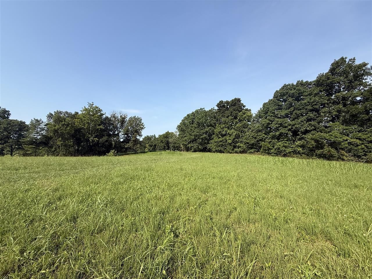 4665 Halifax Road, Scottsville, KY 42164 Main Photo