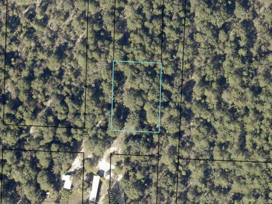 Property Image 5