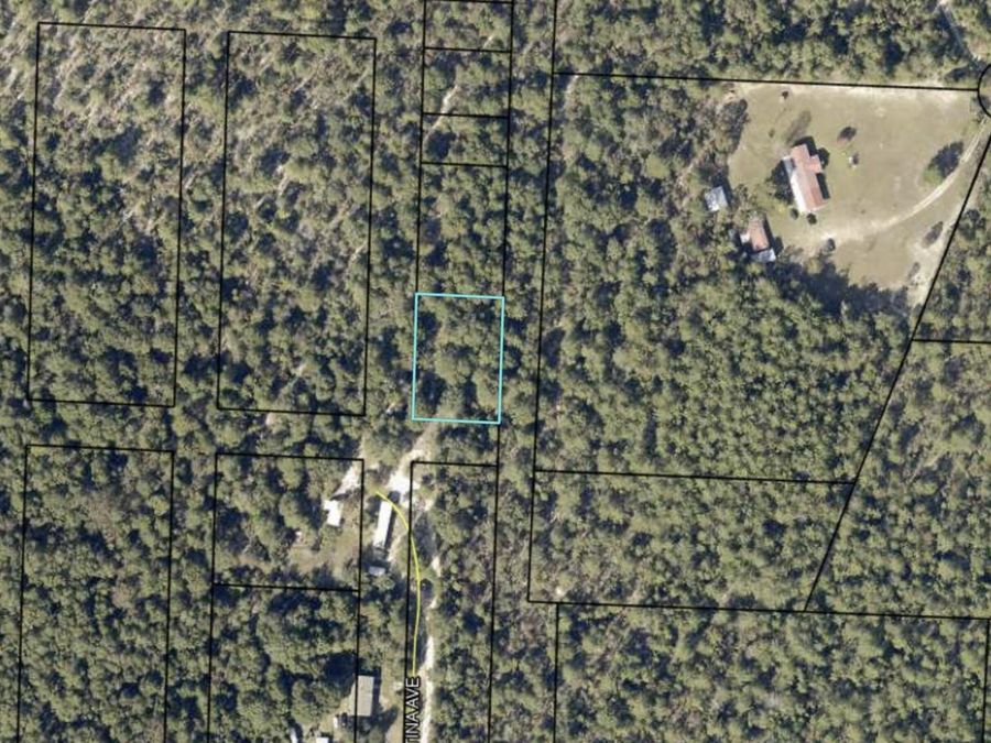 Property Image 6