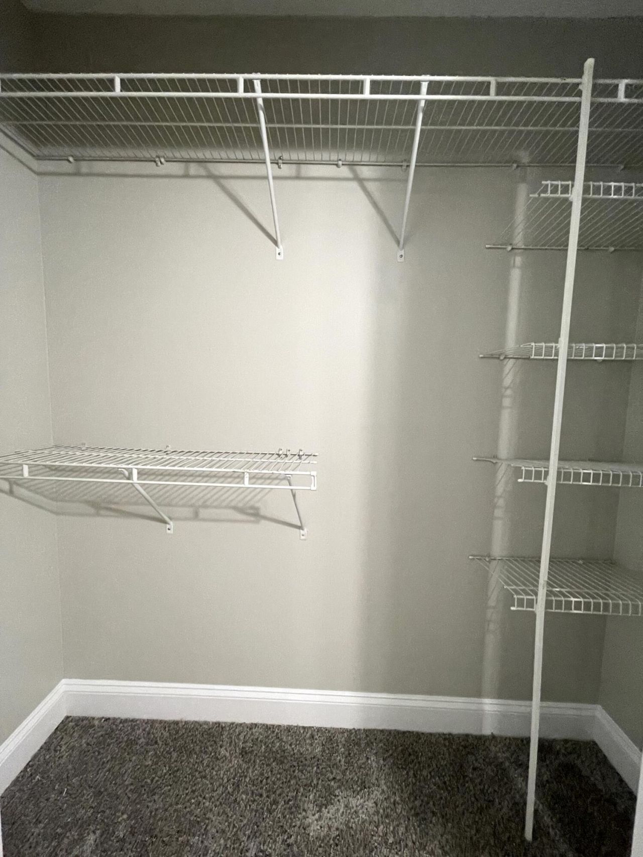 383 Springview Lane Photo 27