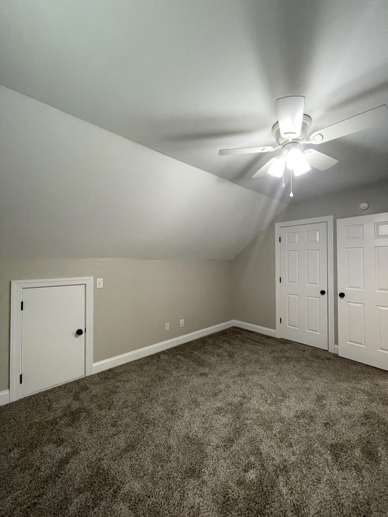383 Springview Lane Photo 29