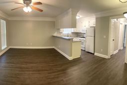 383 Springview Lane photo 4