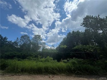 Arnoldville Road, Natural Bridge, NY 13665