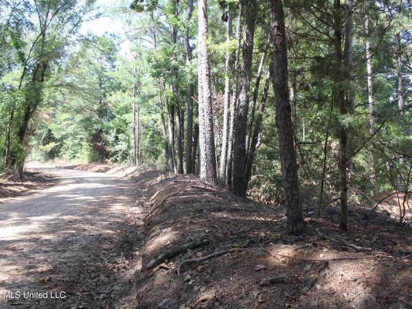 Rosebud School Road, Walnut Grove, MS 39189