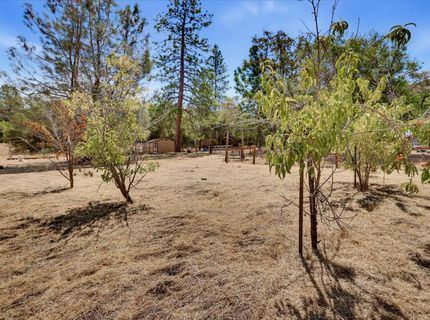 17616 Pioneer Way, Rough and Ready, CA 95975 Photo