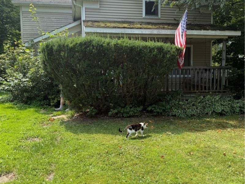 13661 W Spring Street, Burton, OH 44021 Photo 3