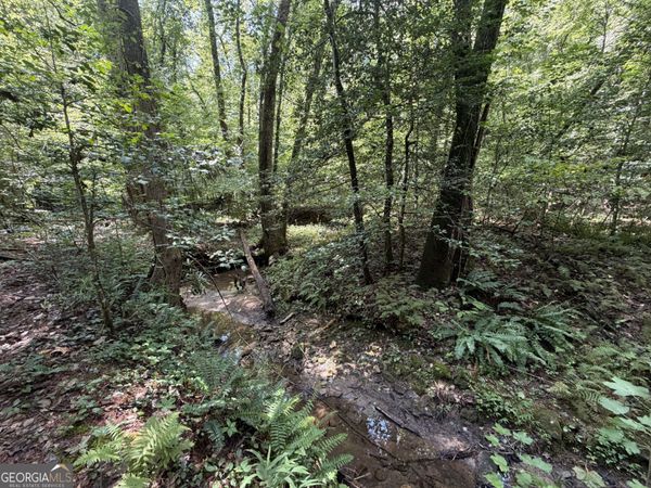 0 Alpine Drive, Sautee Nacoochee, GA 30571