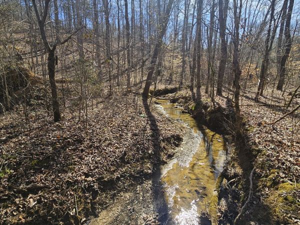 0 Lick Creek Rd , Tellico Plains, TN 37385