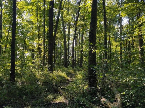 000 Stratton Farm Road , Huntersville, NC 28078