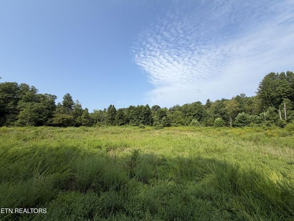 140.30 Ac Skull Creek Rd, Robbins, TN 37852