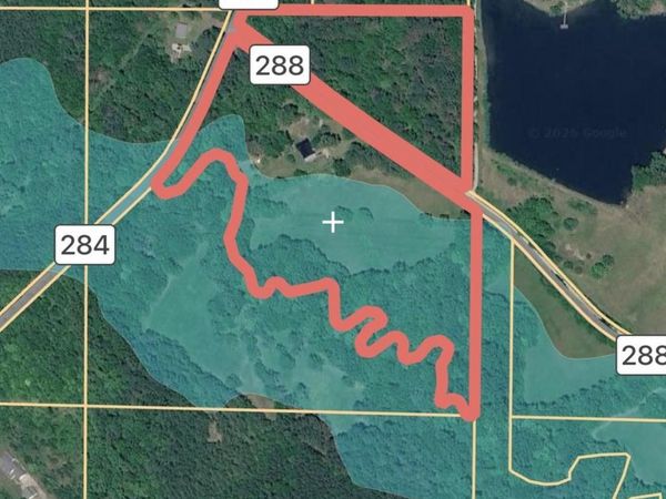 74 County Road 288, Courtland, AL 35618