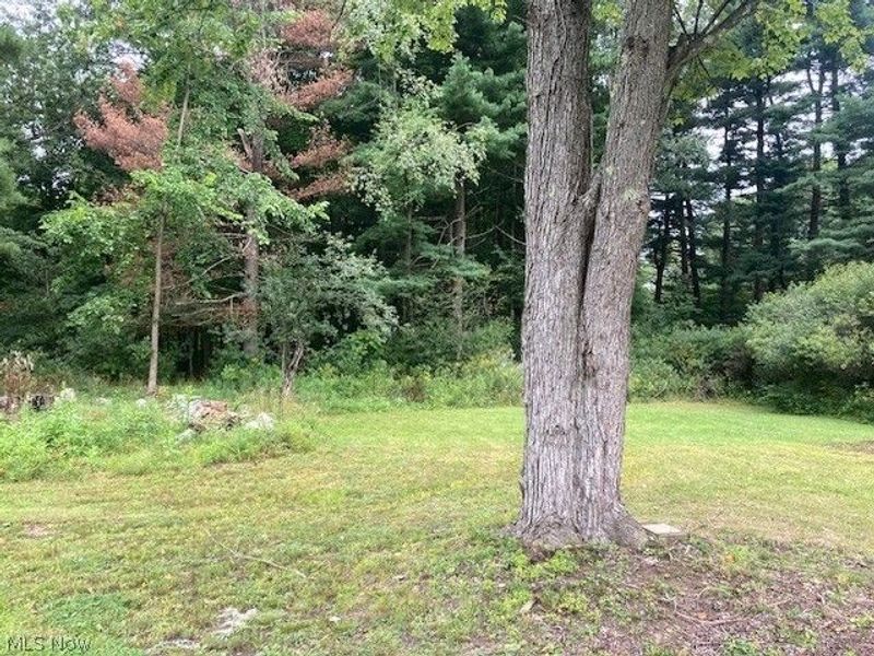 6885 Lincoln, Hubbard, OH 44425 Photo 8