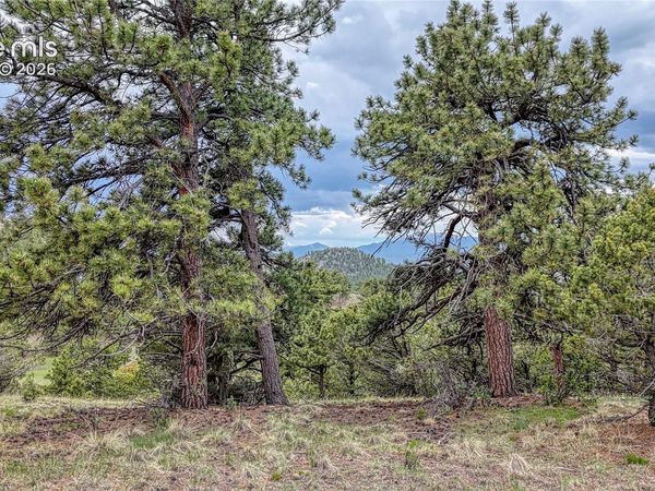 44 Honeysuckle Terrace, Westcliffe, CO 81252