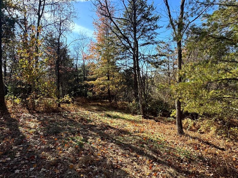 808 Nibert Road , Unit ( Tract 5 , Gallipolis, OH 45631 Photo 4