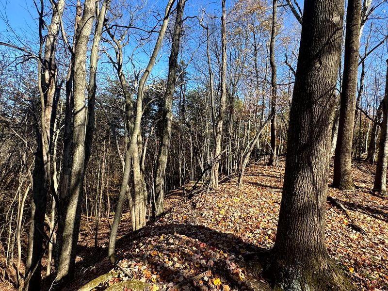 808 Nibert Road , Unit ( Tract 5 , Gallipolis, OH 45631 Photo 5