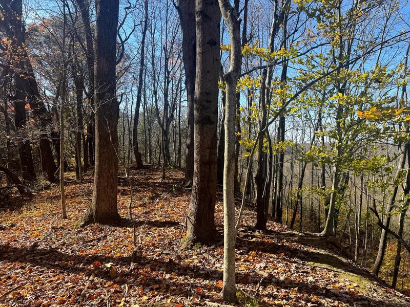 808 Nibert Road , Unit ( Tract 5 , Gallipolis, OH 45631 Photo 6