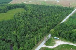 Lot 5 Fries Bay Rd.  photo 4