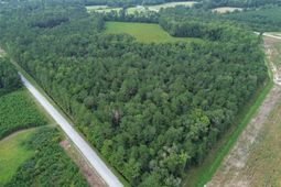 Lot1 Fries Bay Rd.  photo 4