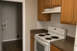 163 Pine Shadow Drive photo 4