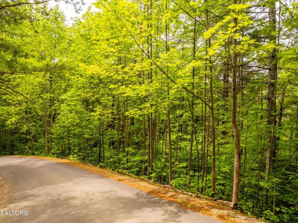 914 Stonegate Way , Unit 61, Townsend, TN 37882