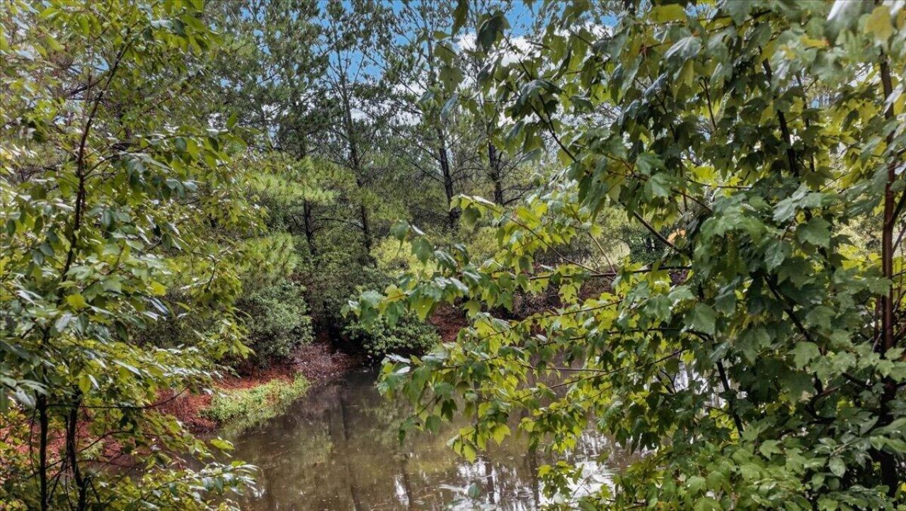 303 Sabal Palmetto Court Photo 43