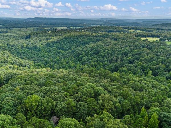 Whitetail Trail , Dover, AR 72837