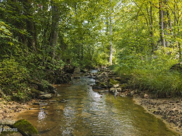 0000 Snake Hollow (162.33 acres) Rd, Sneedville, TN 37869