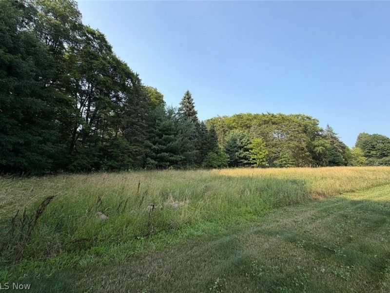 0 Beach Road, Wadsworth, OH 44281 Photo 2