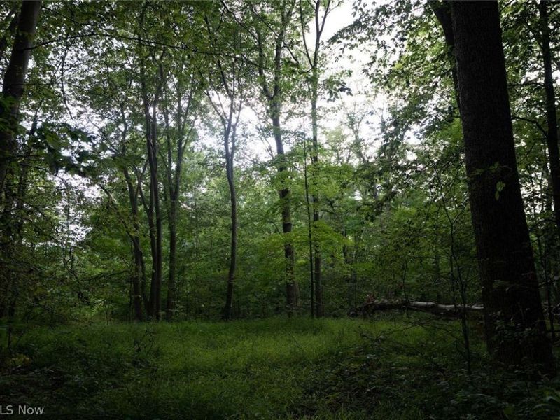 0 Beach Road, Wadsworth, OH 44281 Photo 6