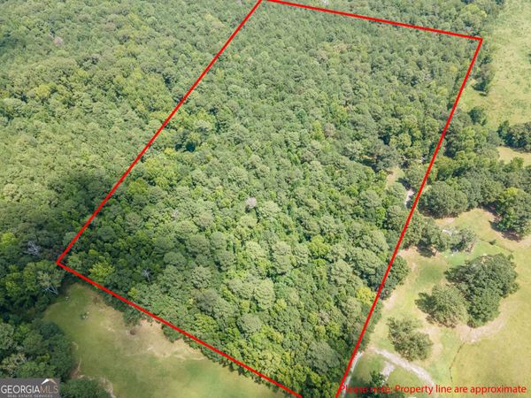 TRACT 5 Chapman Road, Fayetteville, GA 30215
