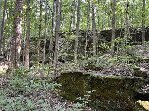 2869 N State Route 654, Marion, KY 42064