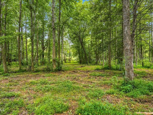 Tbd Mcinturff Springs Road, Erwin, TN 37650