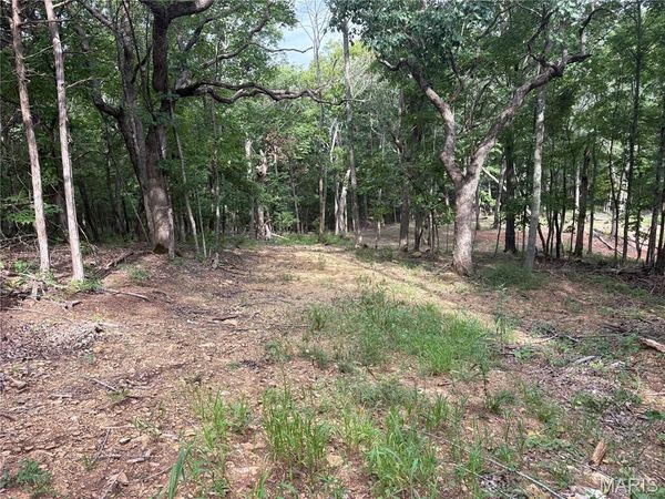1616 Timber Bluff Trail , Pacific, MO 63069