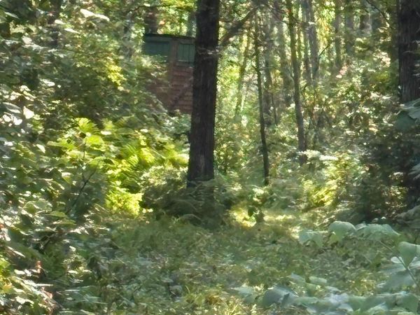40243 650th Street , Swatara, MN 55785